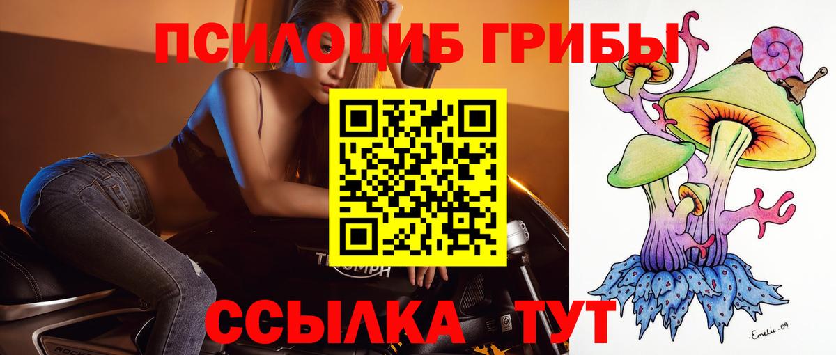 Галлюциногенные грибы Magic Shrooms  Вход с VPN  Псилоцибиновые грибы GOLDEN TEACHER  Георгиевск 