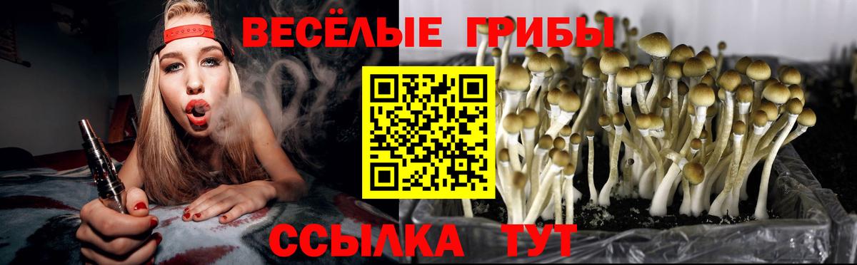 Псилоцибиновые грибы MAGIC MUSHROOMS Георгиевск